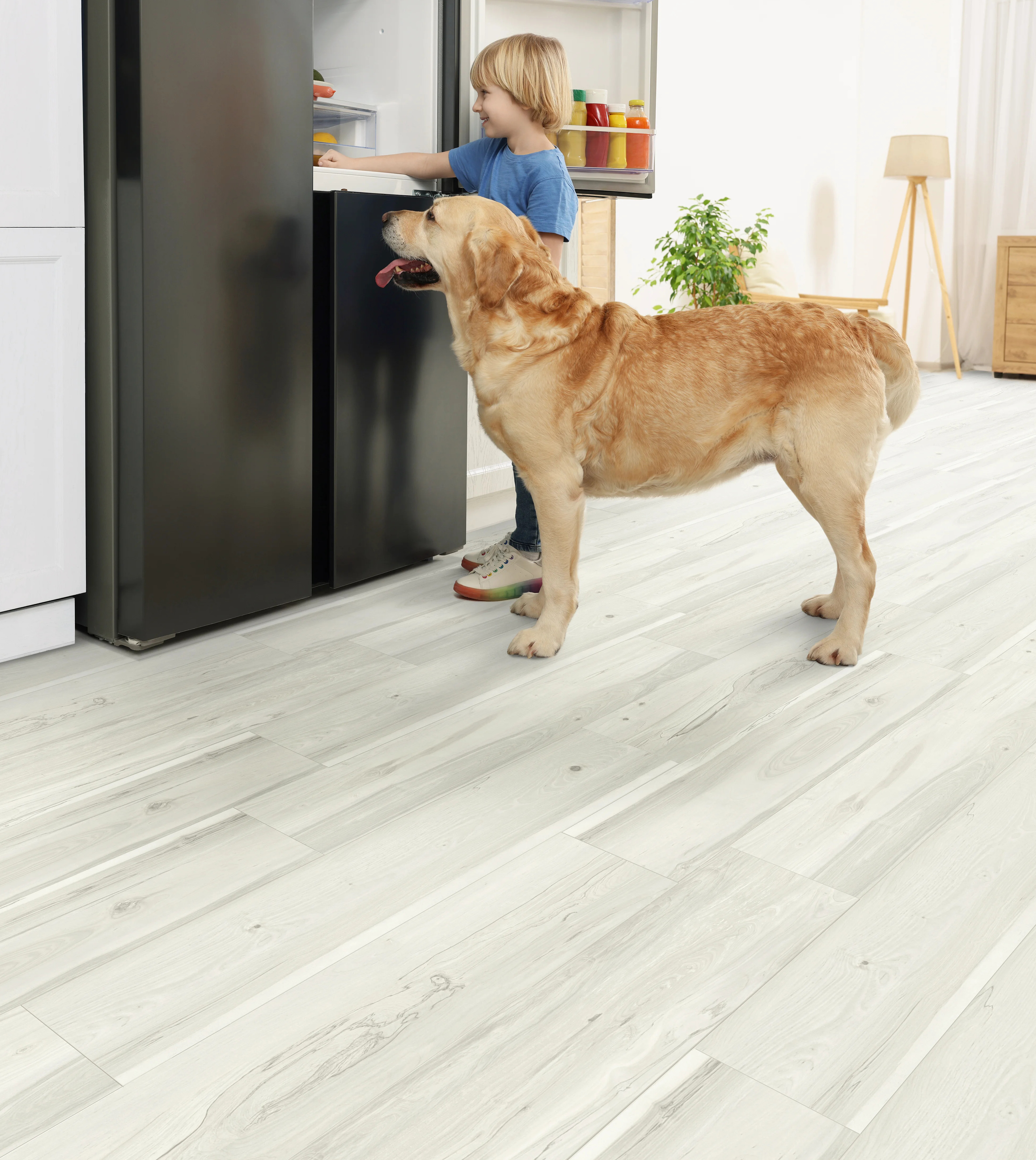 laminate flooring at Bucks County Carpet & Floor